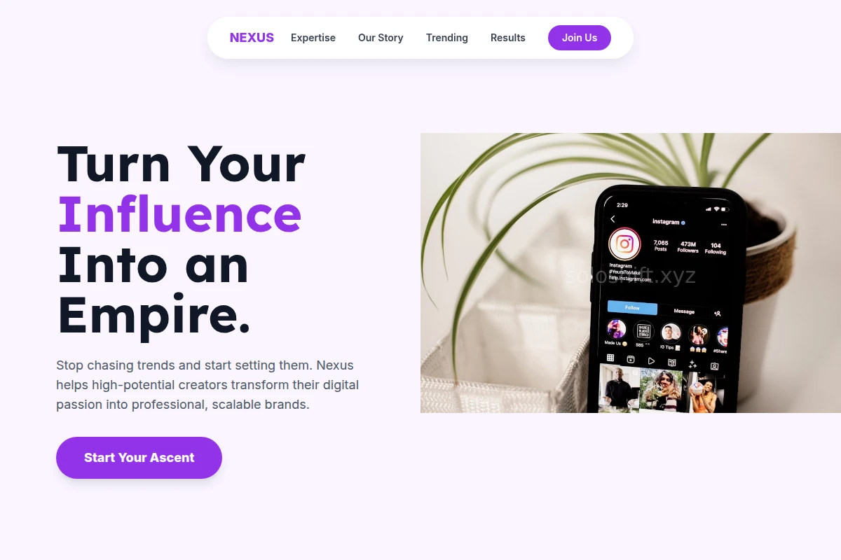 Nexus Influencer Marketing